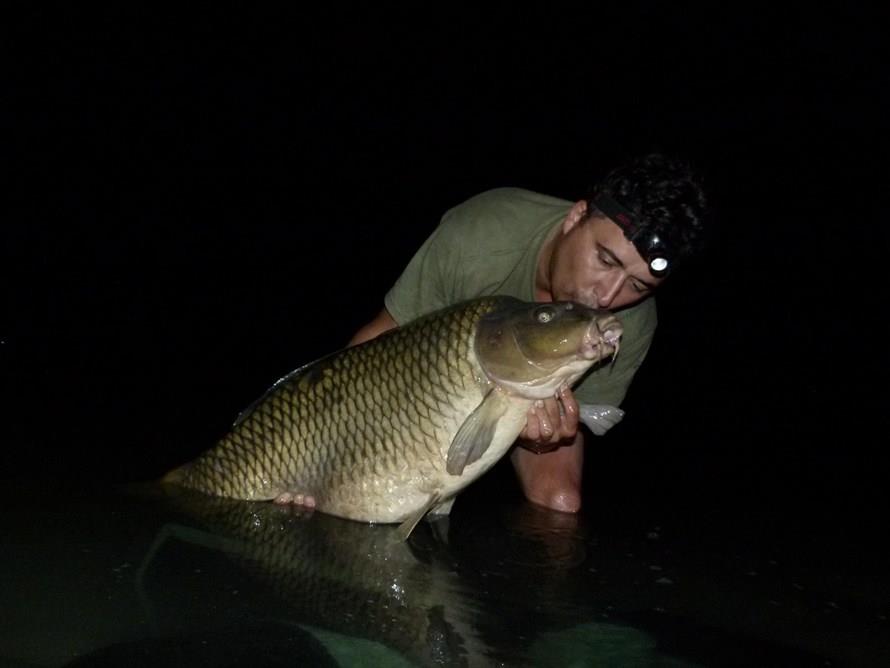 THE BIGS OF 2013 - p1030610.JPG